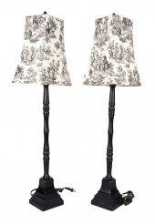 Waterloo Gardens Toile Shade L