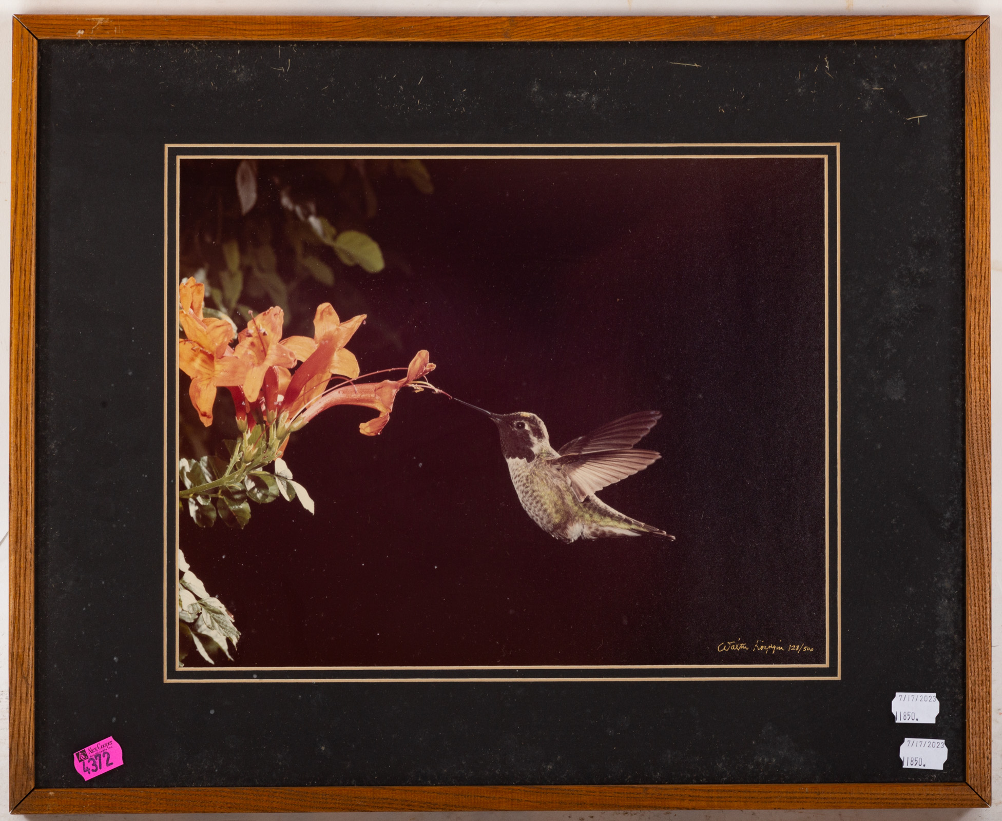 WATLER KARPYNKA. "HUMMINGBIRD,"