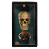 WAX ANATOMICAL HUMAN SKULL MOD