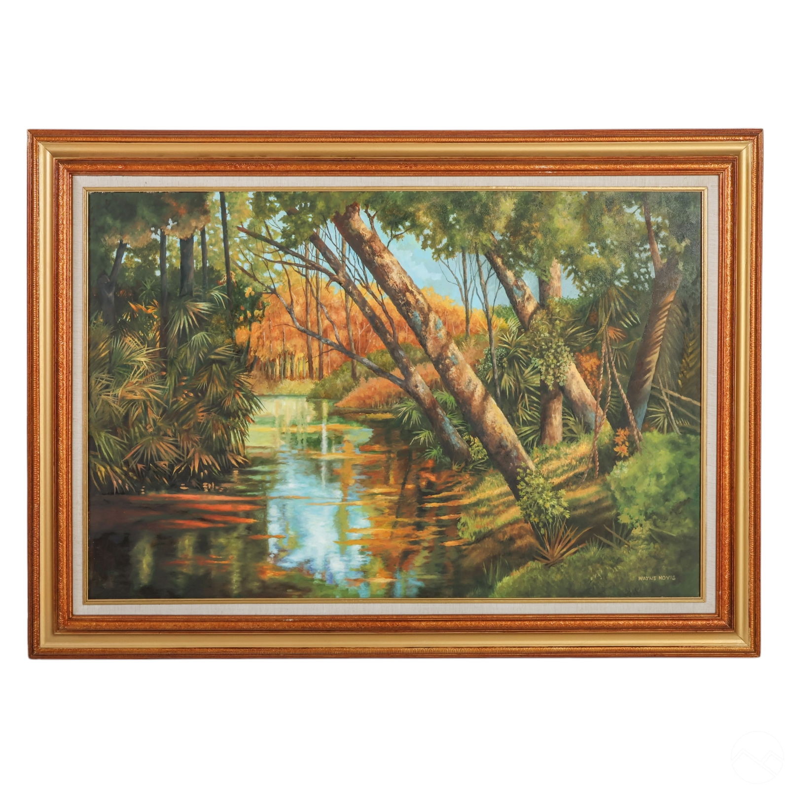 WAYNE HOVIS 20C FLORIDA RIVER