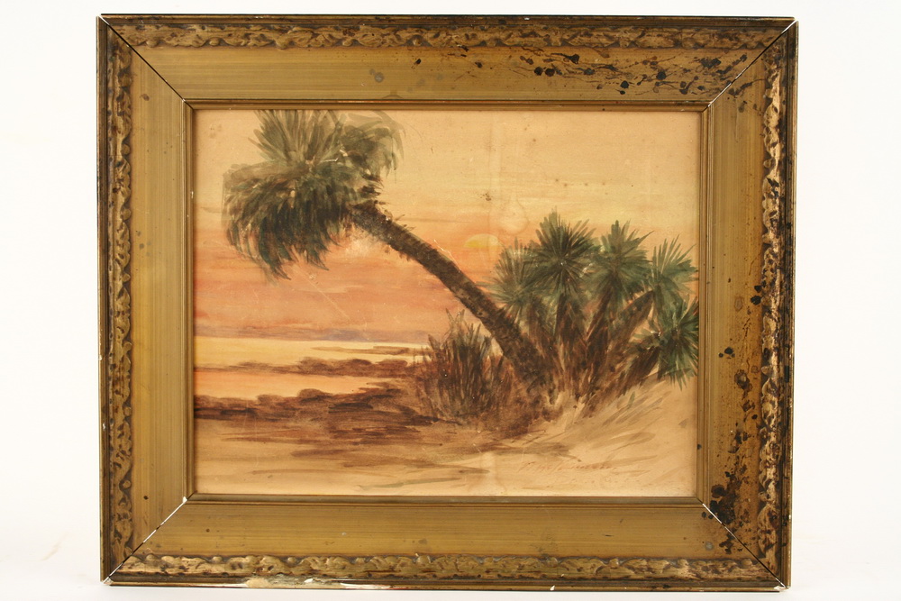 W/C ON BOARD - Palm Trees on