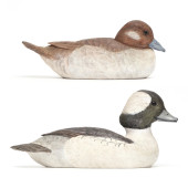 W.E. NEAL (VA), BUFFLEHEAD PAI