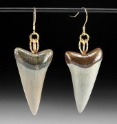 WEARABLE FOSSILIZED SHARK TOOT