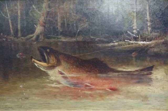 WEBBER Wesley. O/C of Hooked