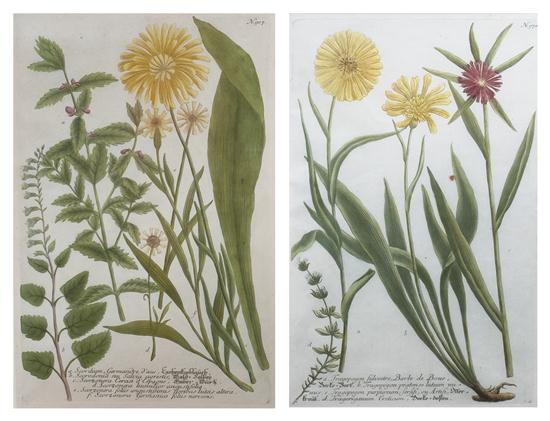 WEINMANN JOHANN WILHELM Two