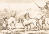 Wencelaus Hollar (Czech 1607-1