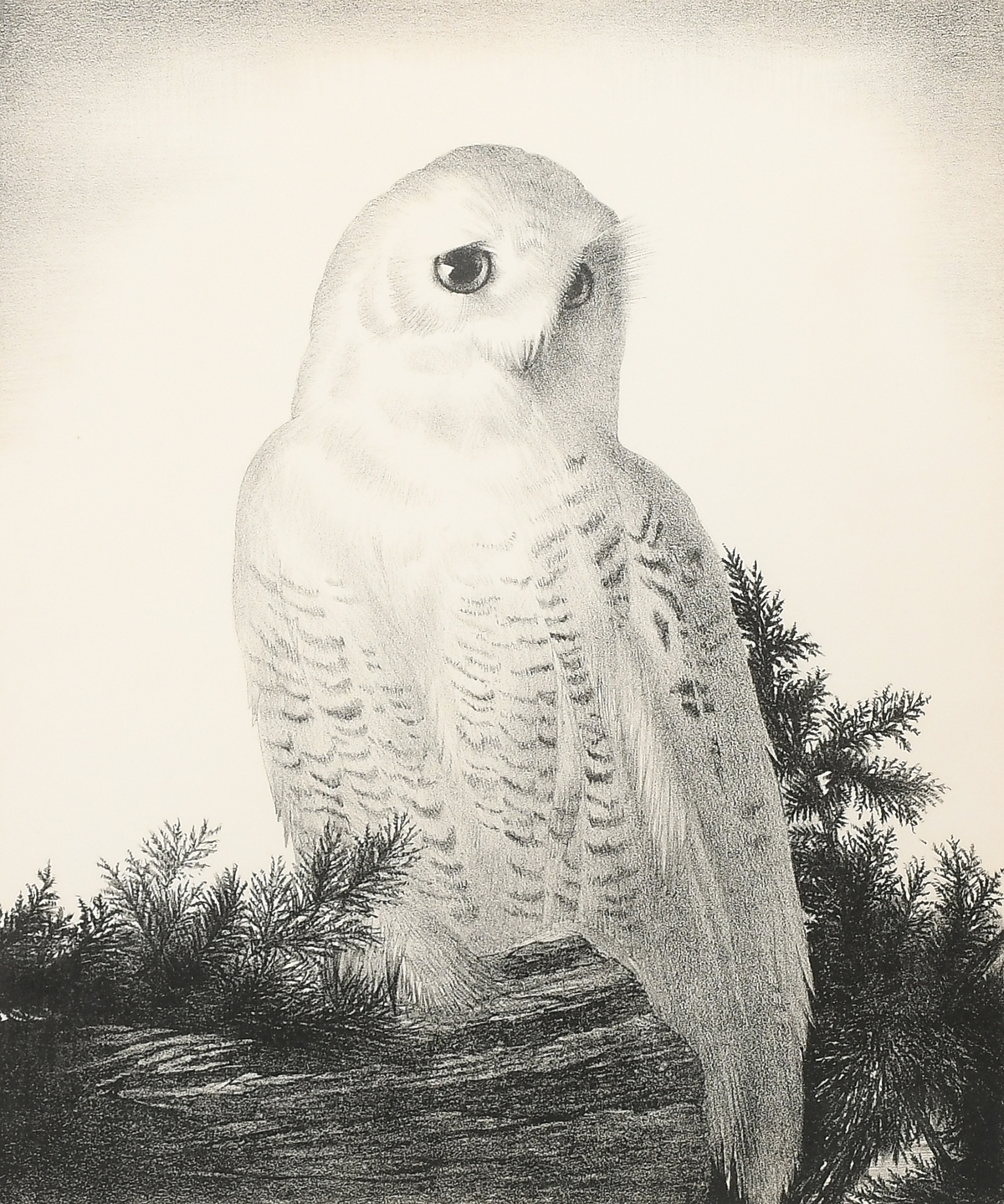 WENGENROTH, Stow, (American,