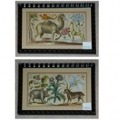 Wenzel Hollar [ANIMAL AND FLOW
