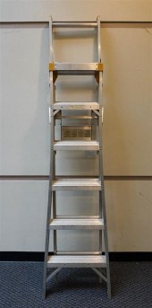 WERNER TEN-FOOT EXTENSION LADD