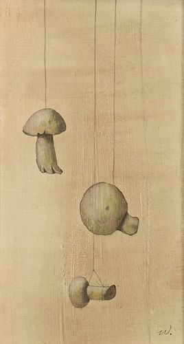 WERNER WILDNER MUSHROOMS