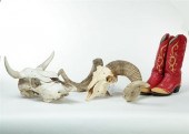 WESTERN BOOTS  SKULLS  AND BOO