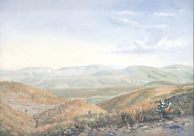WESTERN DESERT LANDSCAPE
