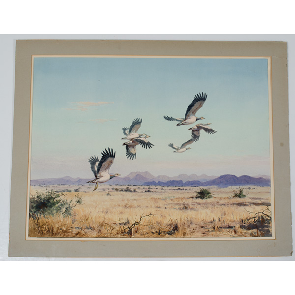 Western Wildlife by John C.
