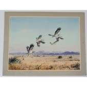Western Wildlife by John C. Ha