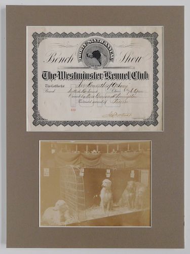 WESTMINSTER KENNEL CLUB