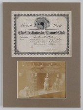 WESTMINSTER KENNEL CLUB CERTIF