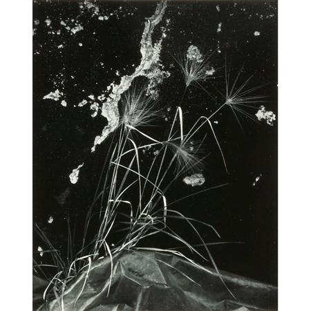 WESTON, BRETT (1911-1993)