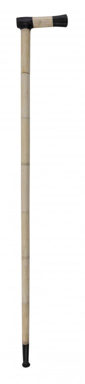 WHALE IVORY AND EBONY CANE AME