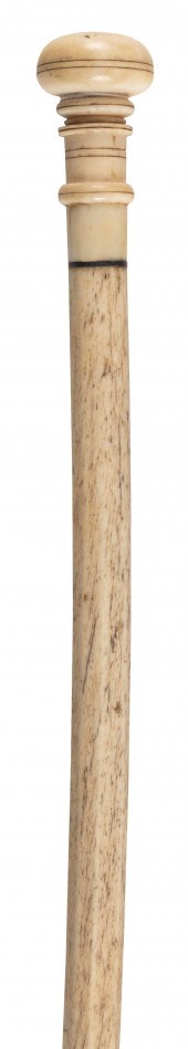 WHALE IVORY AND WHALEBONE CANE