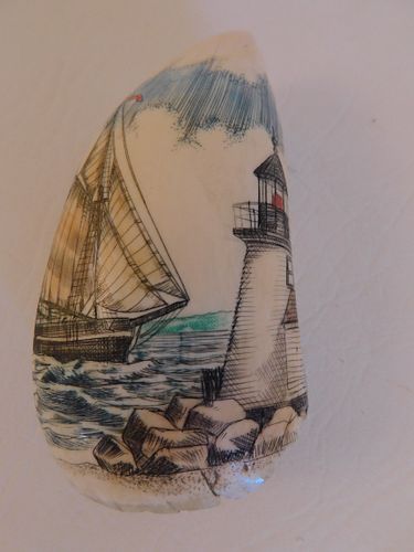 WHALE TOOTH BRANT POINT BY