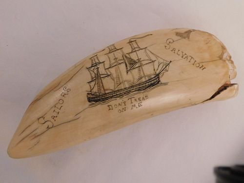WHALE TOOTH - SAILORS