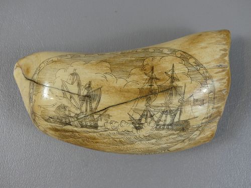 WHALE TOOTH - SCRIMSHAW NAVAL