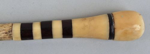 WHALEBONE AND BALEEN CANEwith whale