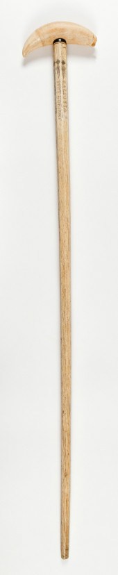 * WHALEBONE CANE WITH WHALE'S