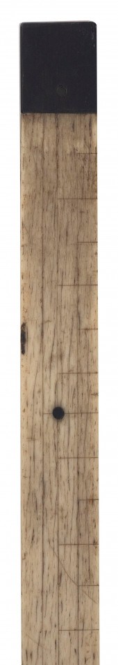 WHALEBONE, EBONY AND BALEEN YA