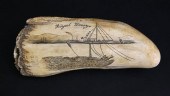 WHALEMAN "ROYAL GEORGE" SCRIMS
