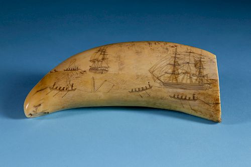 WHALER SCRIMSHAW SPERM WHALE