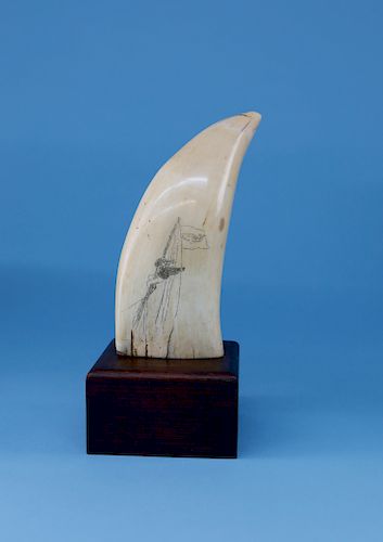WHALER SCRIMSHAWED SPERM WHALE
