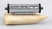 * WHALE'S TOOTH MOUNTED WITH A