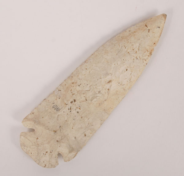 White dovetail, found in Missouri.