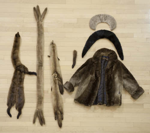 White mink stole together with mink