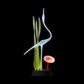 WHITFIELD-KELEMEN (FL), GLASS