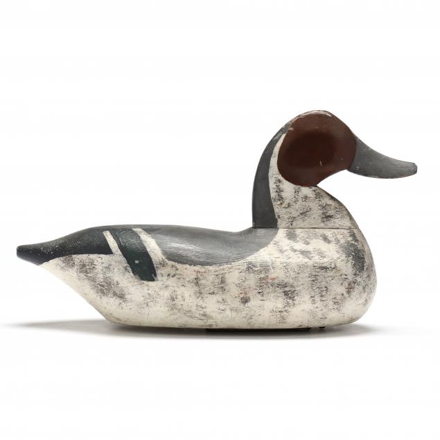 WILBUR SIMPSON (NC), PINTAIL