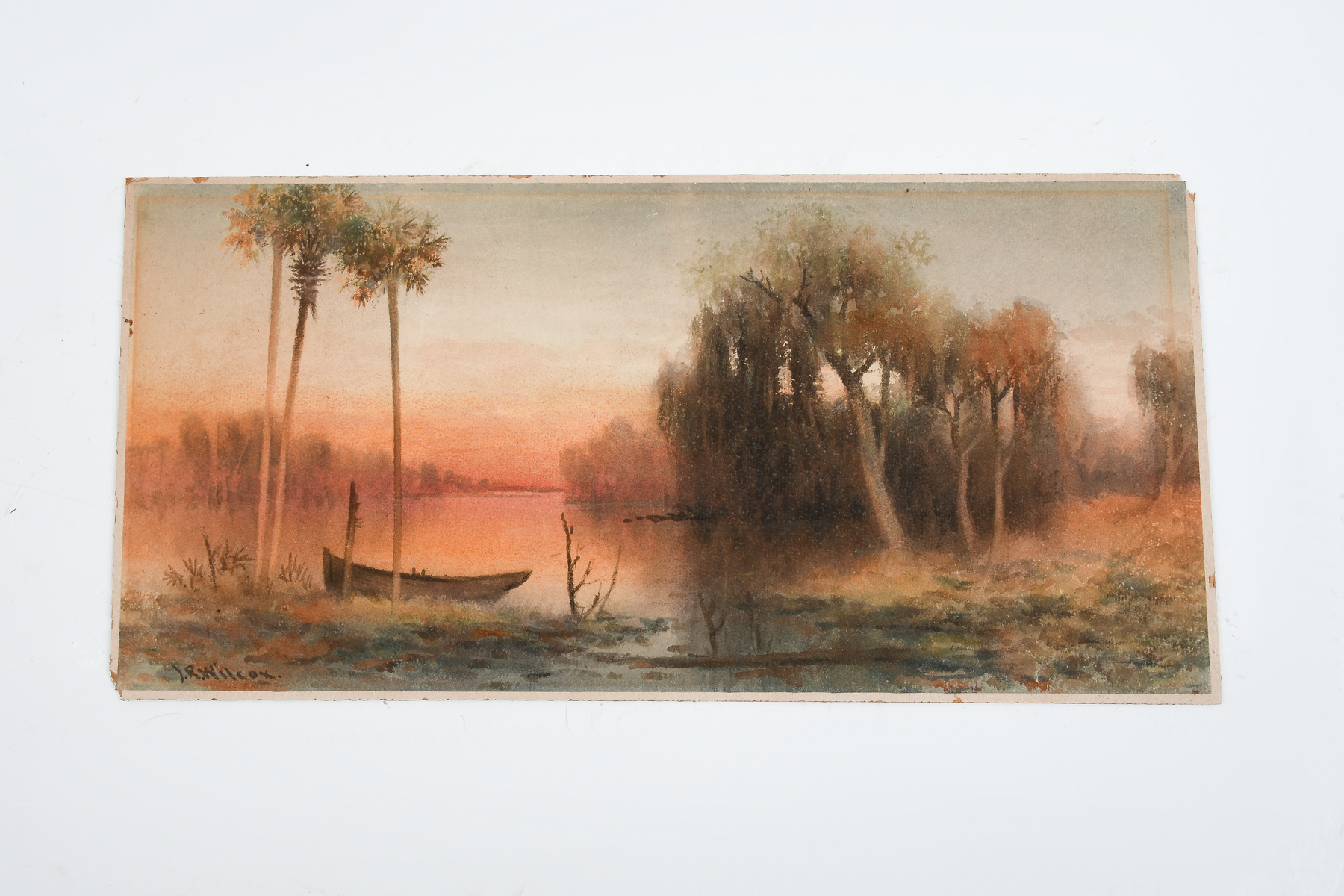 WILCOX, James Ralph, (1866-1915,