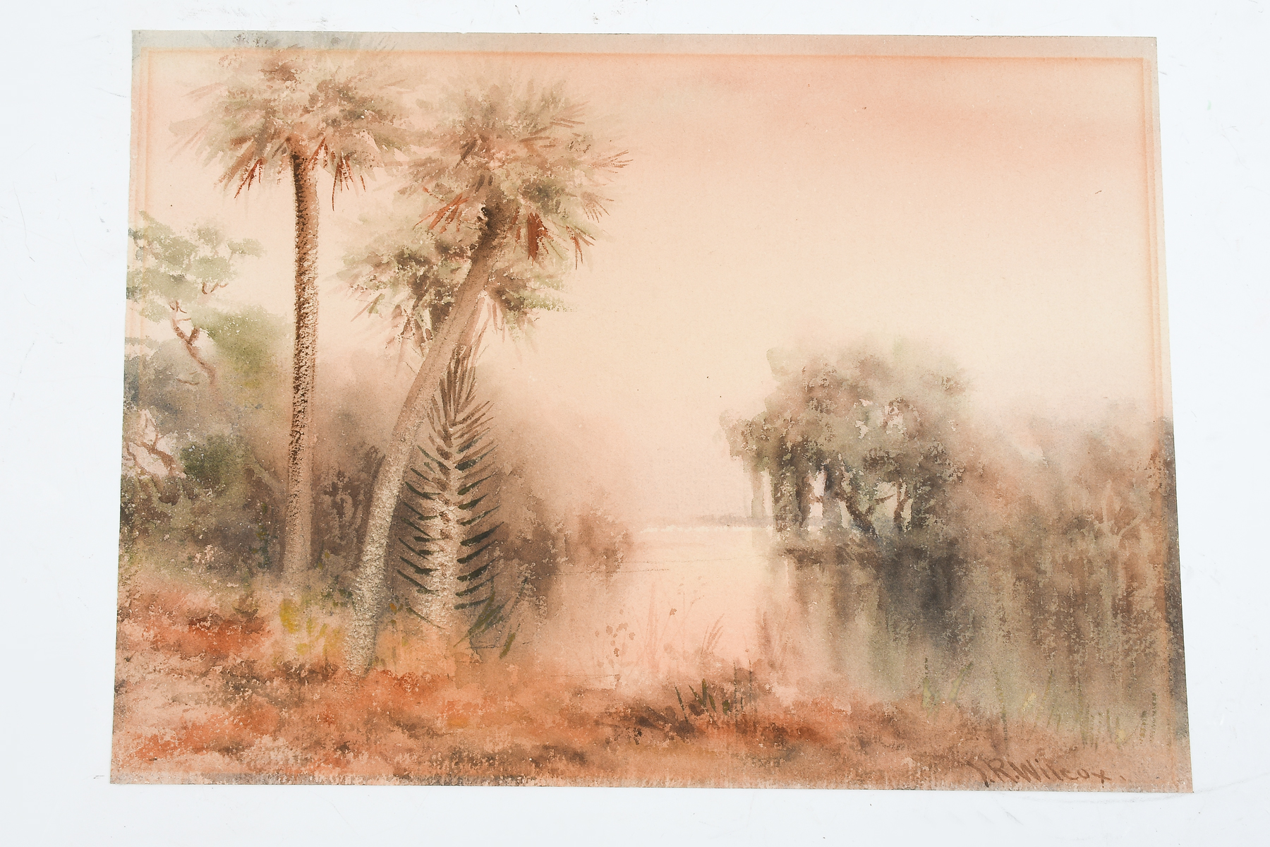 WILCOX, James Ralph, (1866-1915,