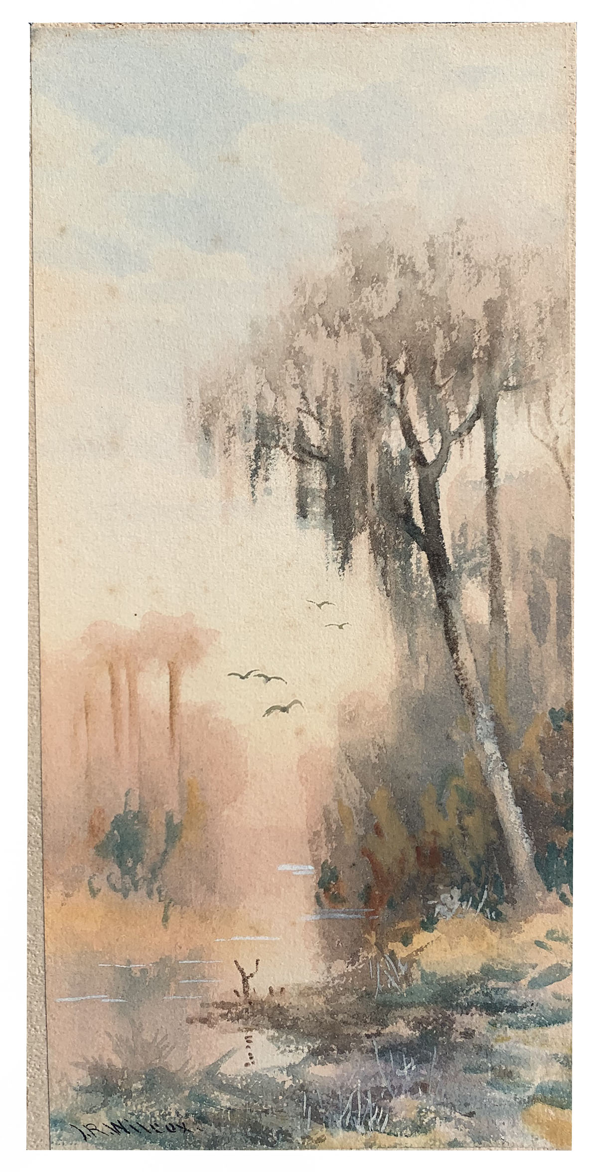 WILCOX, J.R., (American,