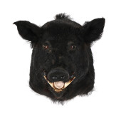 WILD BOAR SHOULDER MOUNT TAXID
