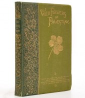 WILD FLOWERS FROM THE HOLY LAN