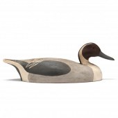 WILDFOWLER PINTAIL Old Saybroo