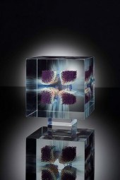 WILFRIED GROOTENS - EMBEDDEDTi