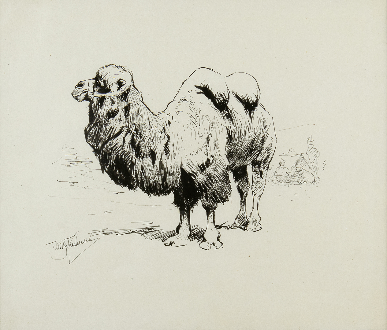 WILHELM KUHNERT (1865-1926),