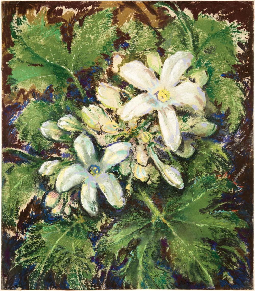 WILL HENRY STEVENS