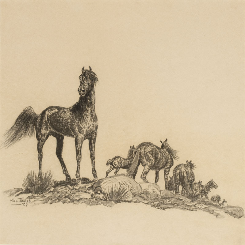 Will James (1892-1942 Billings