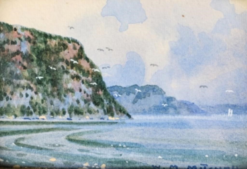 WILLARD M. MITCHELL (1879-1955)