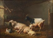 WILLEM JACOBUS BOGAARD (1842 -