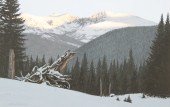 WILLIAM BREEDON, O/C MOUNTAIN